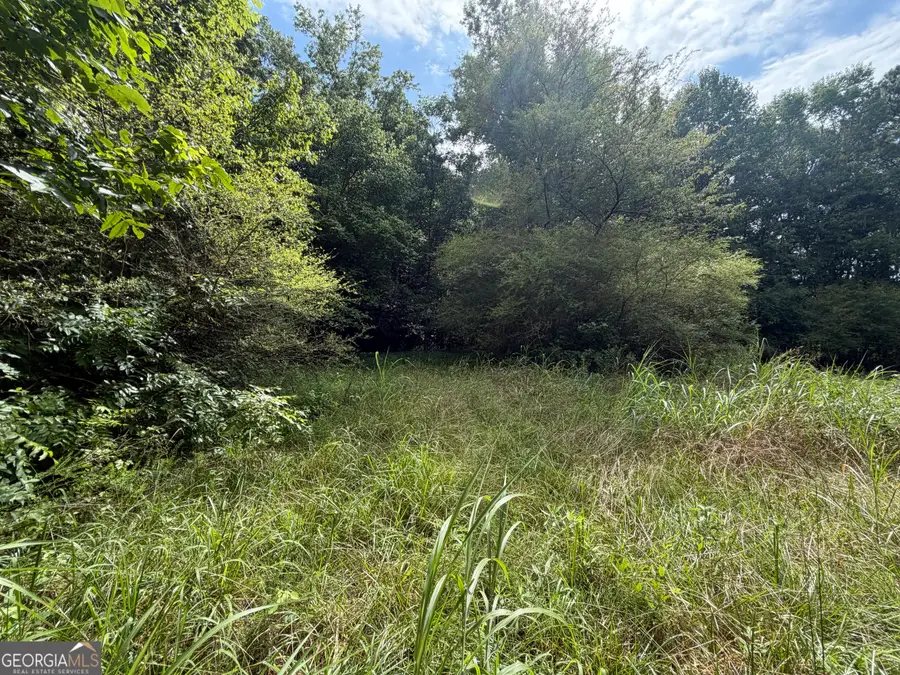0 County Road 82, Newell, AL 36280 - #3