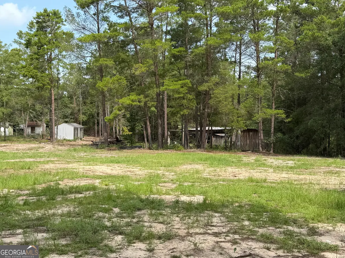 LOT 9 Hortman Mill Road, Roberta, GA 31078 - #1