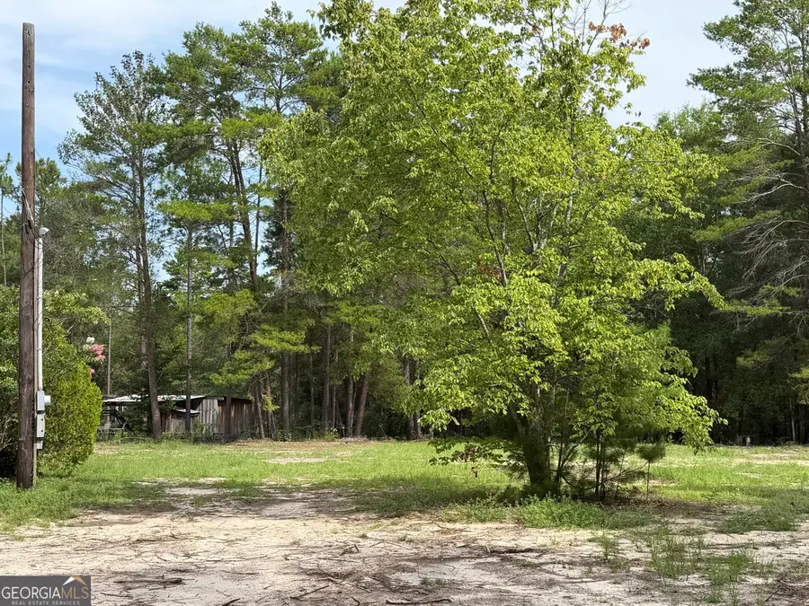 LOT 9 Hortman Mill Road, Roberta, GA 31078 - #3