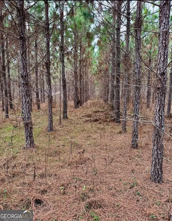 0 John M Brewton Rd, Glennville, GA 30427