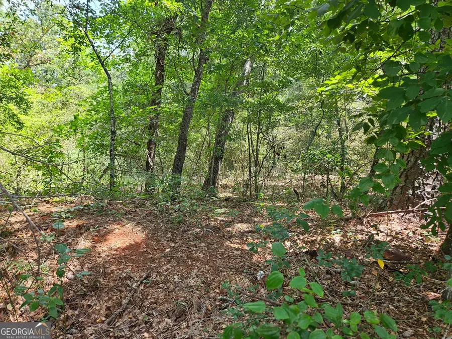 LOT 1 June Ivey Rd, Bethlehem, GA 30620 - #2