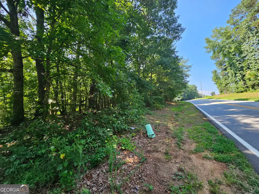 LOT 1 June Ivey Rd, Bethlehem, GA 30620 - #3