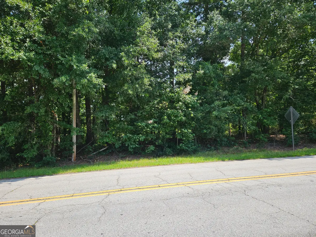 LOT 2 June Ivey Rd, Bethlehem, GA 30620 - #1