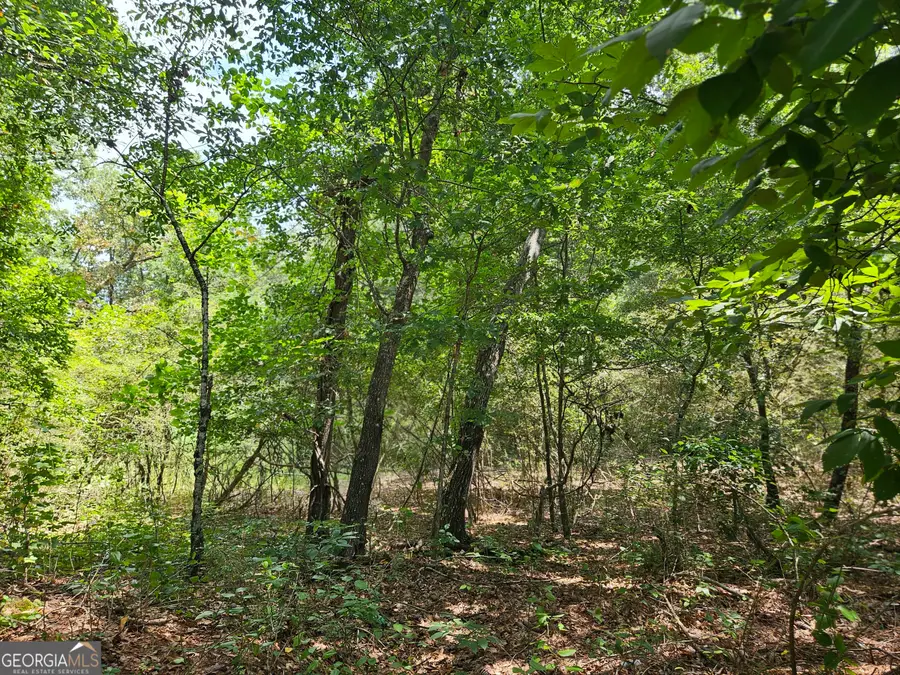 LOT 2 June Ivey Rd, Bethlehem, GA 30620 - #2