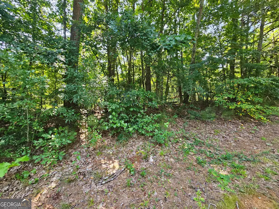 LOT 2 June Ivey Rd, Bethlehem, GA 30620 - #3
