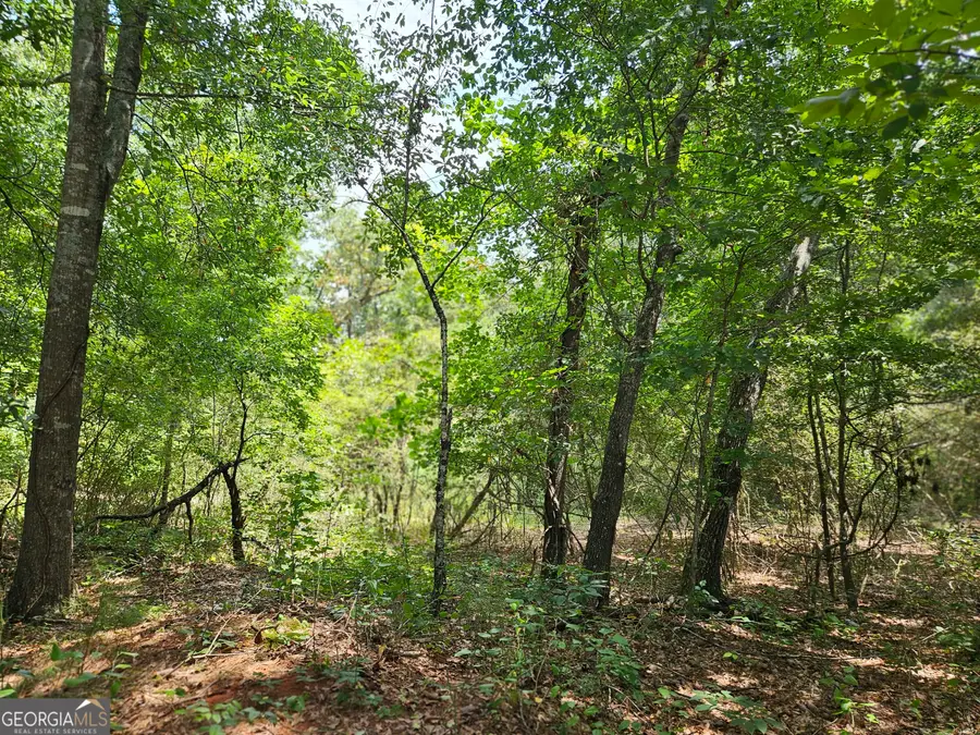 LOT 4 June Ivey Road, Bethlehem, GA 30620 - #2