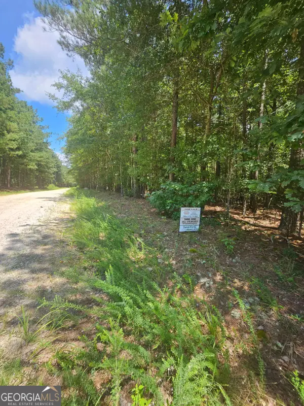 292 Mccannon Rd Tract 3, Carlton, GA 30627