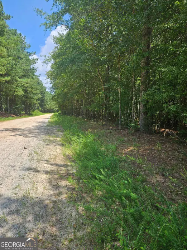 292 Mccannon Rd Tract 3a, Carlton, GA 30627