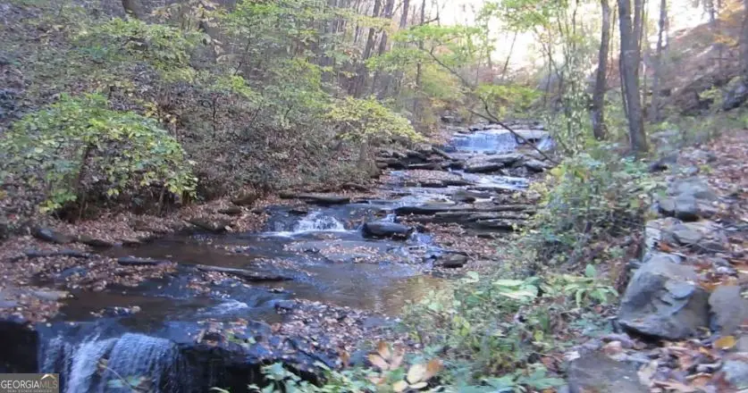 232 Andes Ridge, Ellijay, GA 30540 - #1