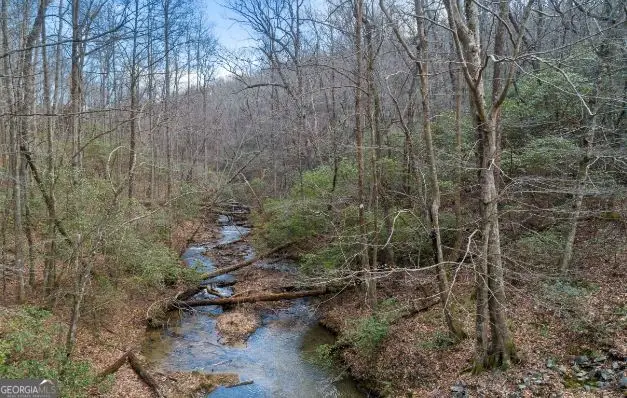 232 Andes Ridge, Ellijay, GA 30540 - #2