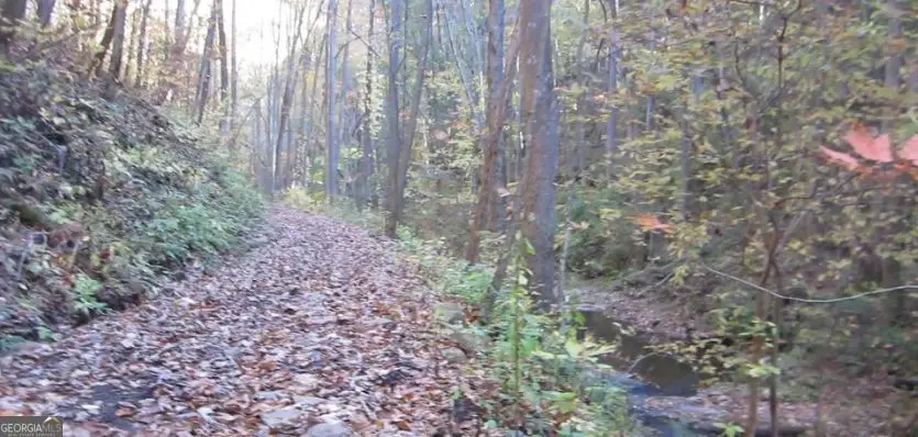 232 Andes Ridge, Ellijay, GA 30540 - #3