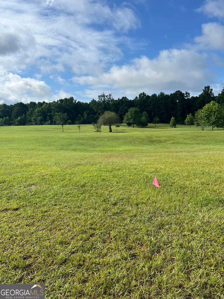 9624 Rocky Mount Road, Luthersville, GA 30251 - #3