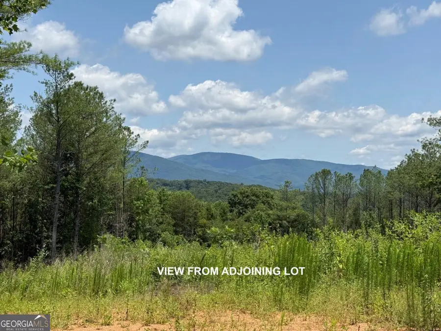 LOT E9 Reece Mountain Road, Ellijay, GA 30536 - #2