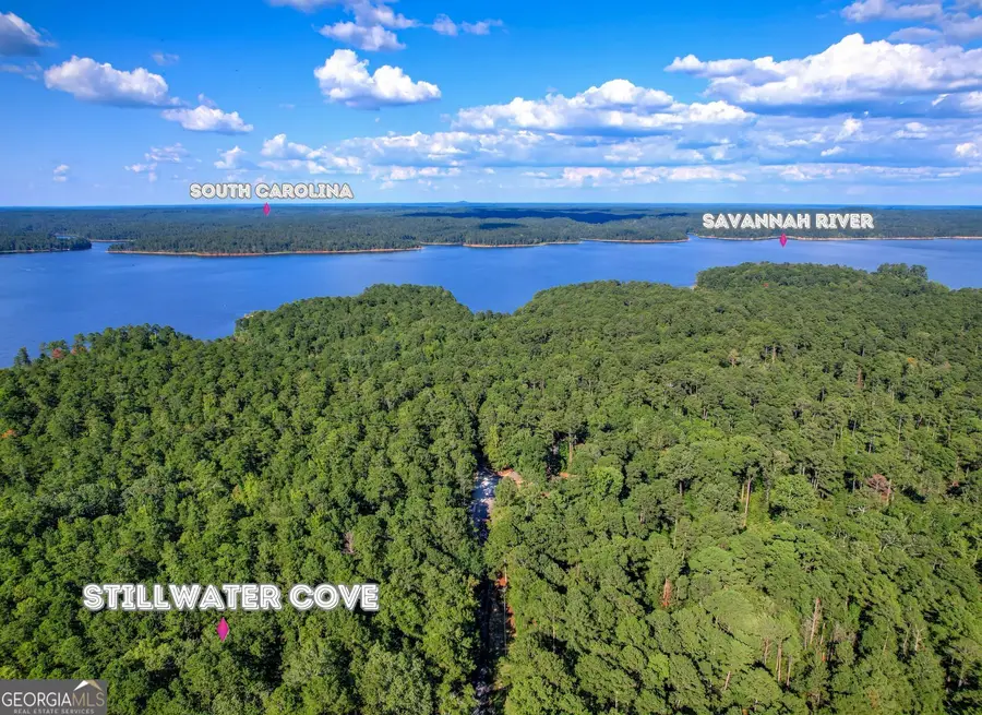1313 Shimmering Water Cove, Tignall, GA 30668 - #2