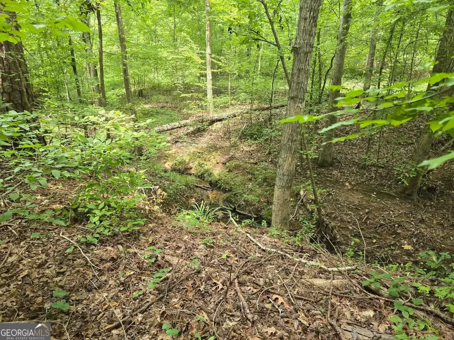 LOT 123 Oconee Drive, Sparta, GA 31087 - #3