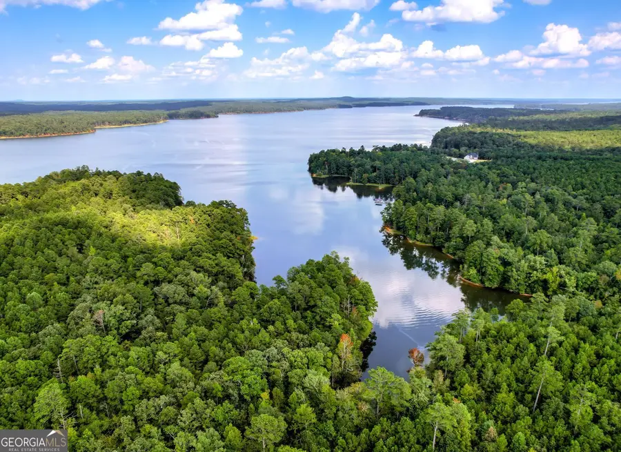1416 Rock Point Cove, Tignall, GA 30668 - #3