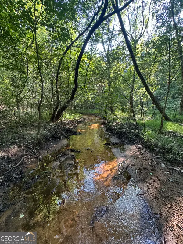 0 Wilson Road, Cuthbert, GA 39840