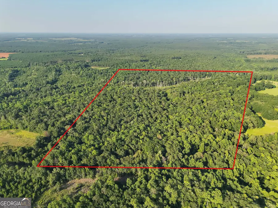 0 Wilson Road, Cuthbert, GA 39840 - #3