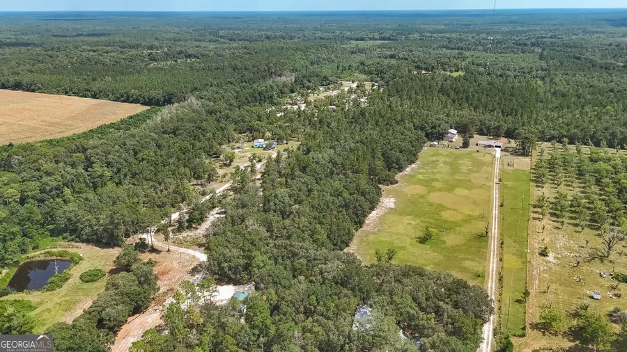 0 Nola Road, Blackshear, GA 31516 - #3