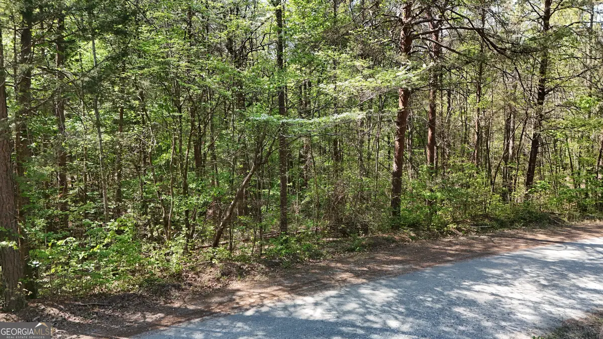 0 Holcomb North Drive, Martin, GA 30557 - #1