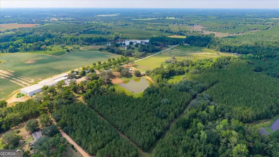 45 Nease Road, Glennville, GA 30427 - #2