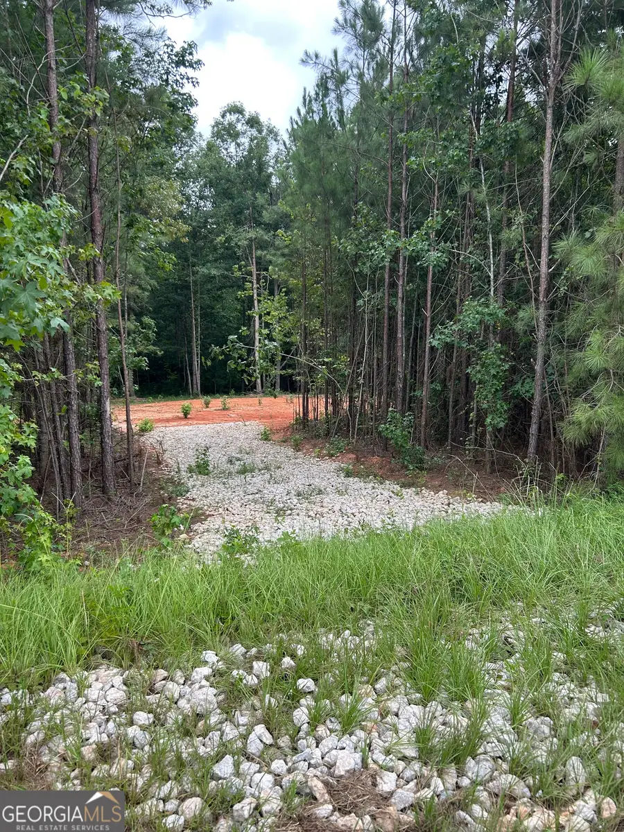 CR 79 Clark Street, Roanoke, AL 36274 - #3