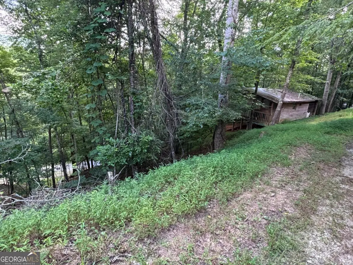 1163 Tipton Springs Road, Morganton, GA 30560 - #1