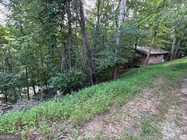 1163 Tipton Springs Road, Morganton, GA 30560