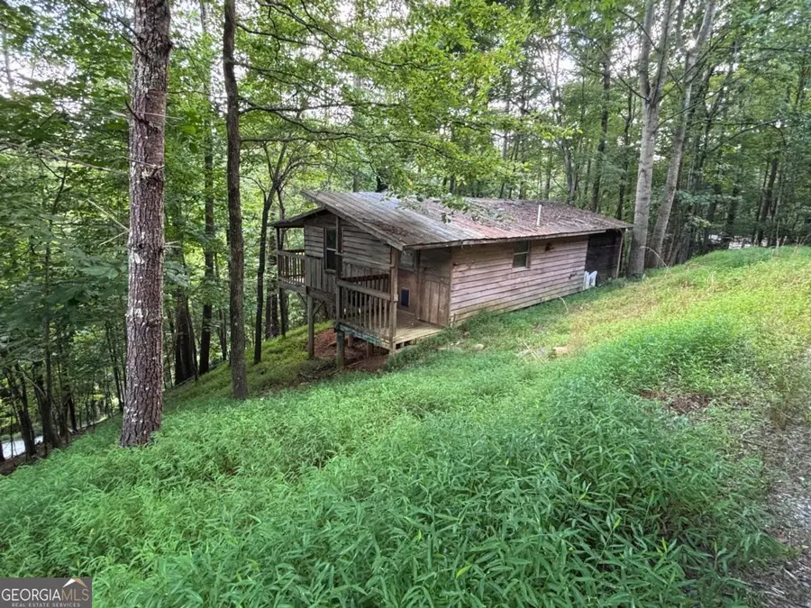 1163 Tipton Springs Road, Morganton, GA 30560 - #2