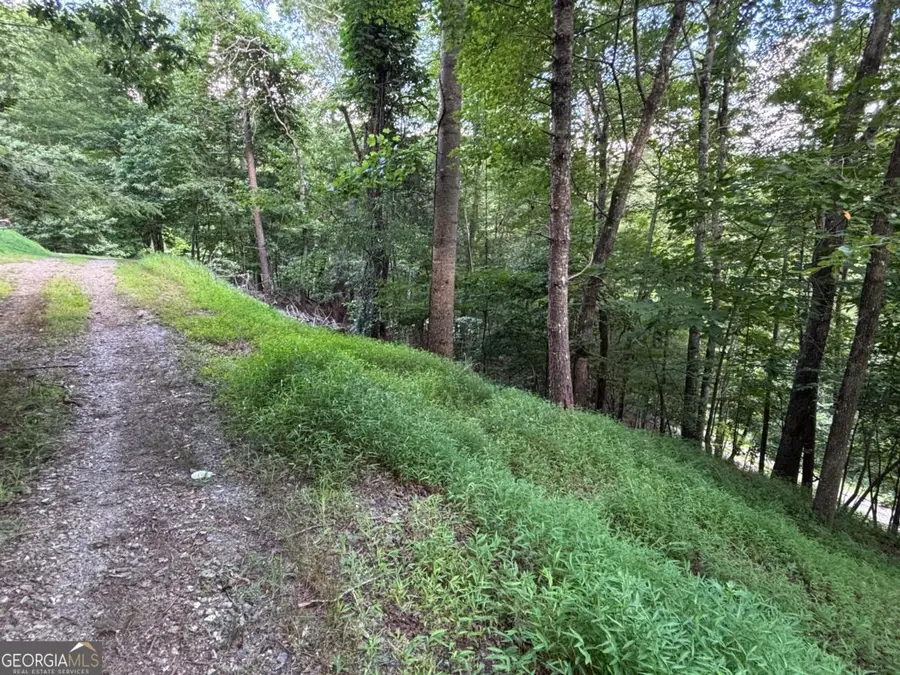 1163 Tipton Springs Road, Morganton, GA 30560 - #3
