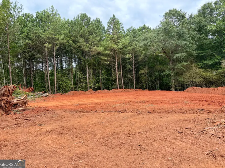 237 Wisteria Lane, Williamson, GA 30292 - #3