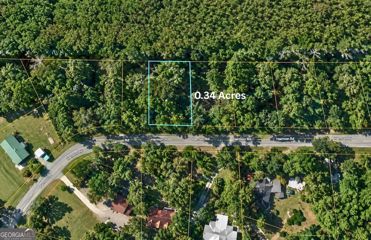 TBD1 Harmon Road, Swainsboro, GA 30401 - #1