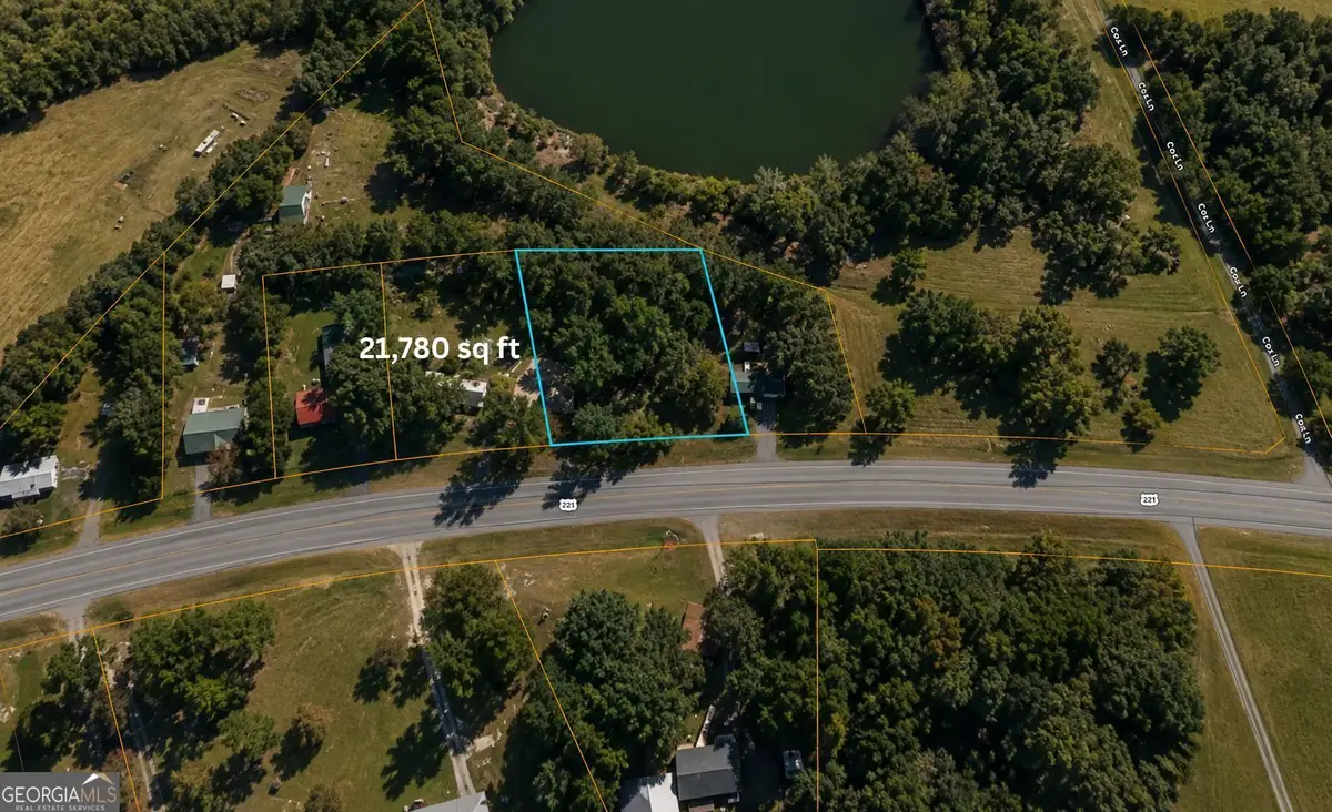 1001 Highway 221, Bartow, GA 30413 - #1