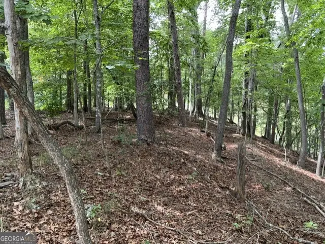 LOT 16 Calhoun Road, Dahlonega, GA 30533 - #3