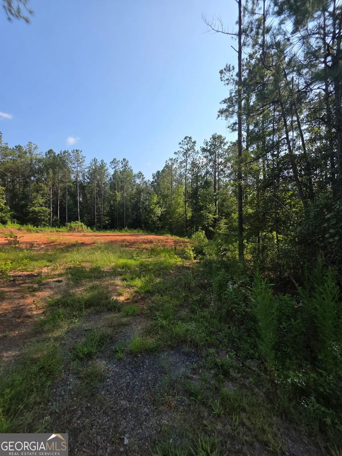 276 Bishop Road, Meansville, GA 30256 - #1