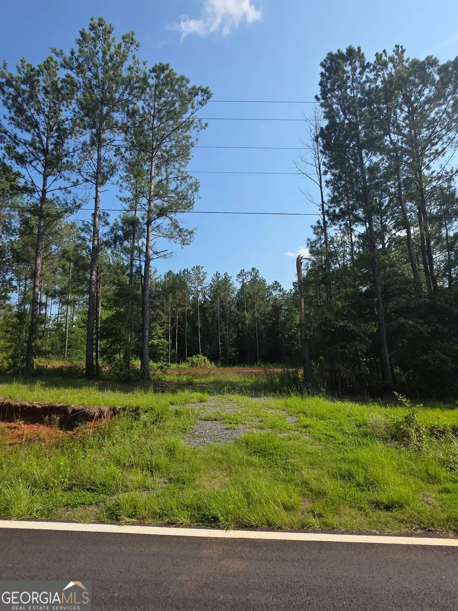 276 Bishop Road, Meansville, GA 30256 - #2