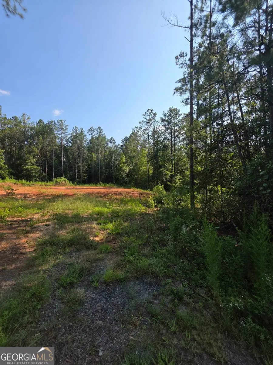 276 Bishop Road, Meansville, GA 30256 - #3