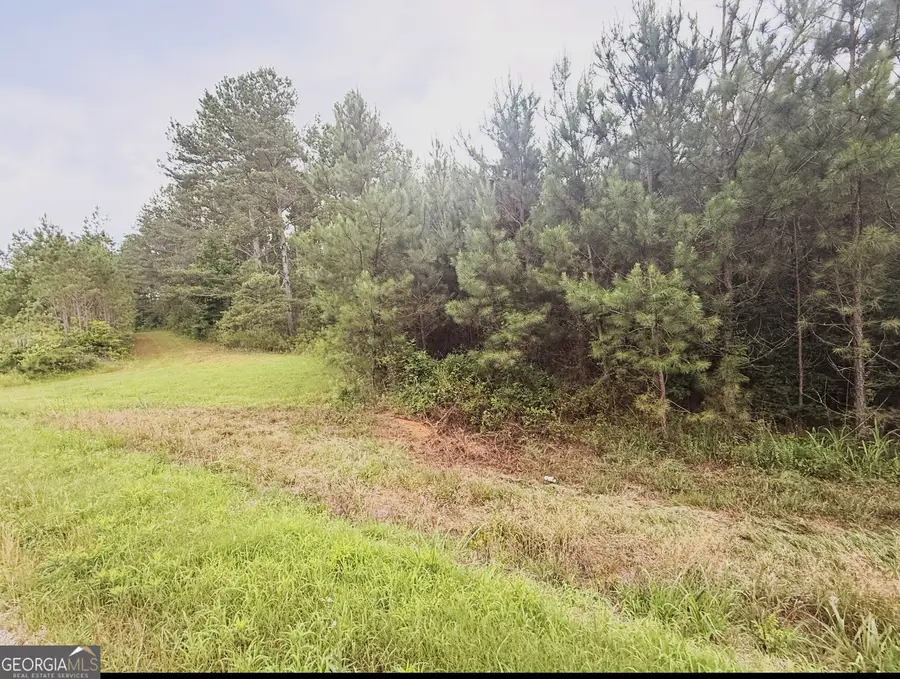 0 County Road 40, Fruithurst, AL 36262 - #3
