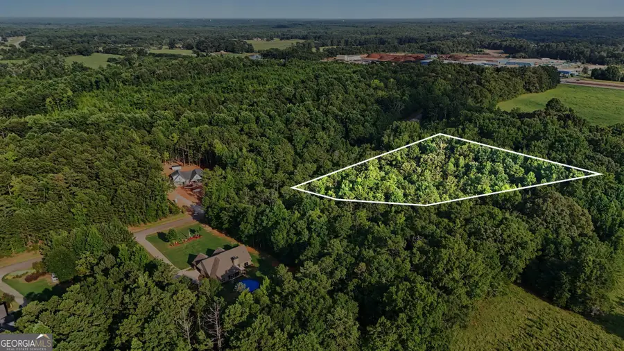 0 Maple Valley Drive, Jenkinsburg, GA 30234 - #3