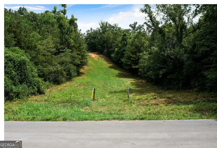 0 Hanes, Redbud, GA 30732 - #3