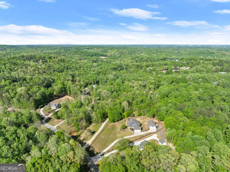 360 Davenport Road, Braselton, GA 30517 - #3