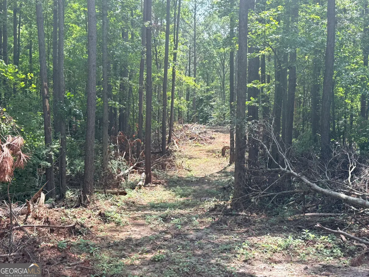 6887 Mt Zion Road, Waco, GA 30182 - #1