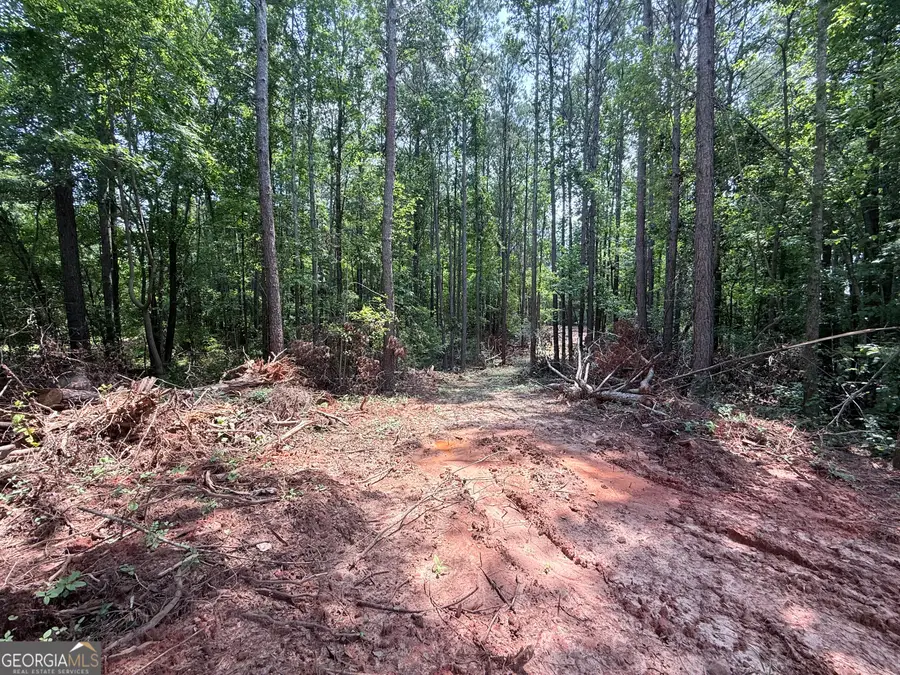 6887 Mt Zion Road, Waco, GA 30182 - #2