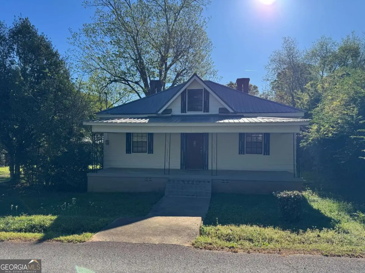 313 Carter Street, Greenville, GA 30222 - #1