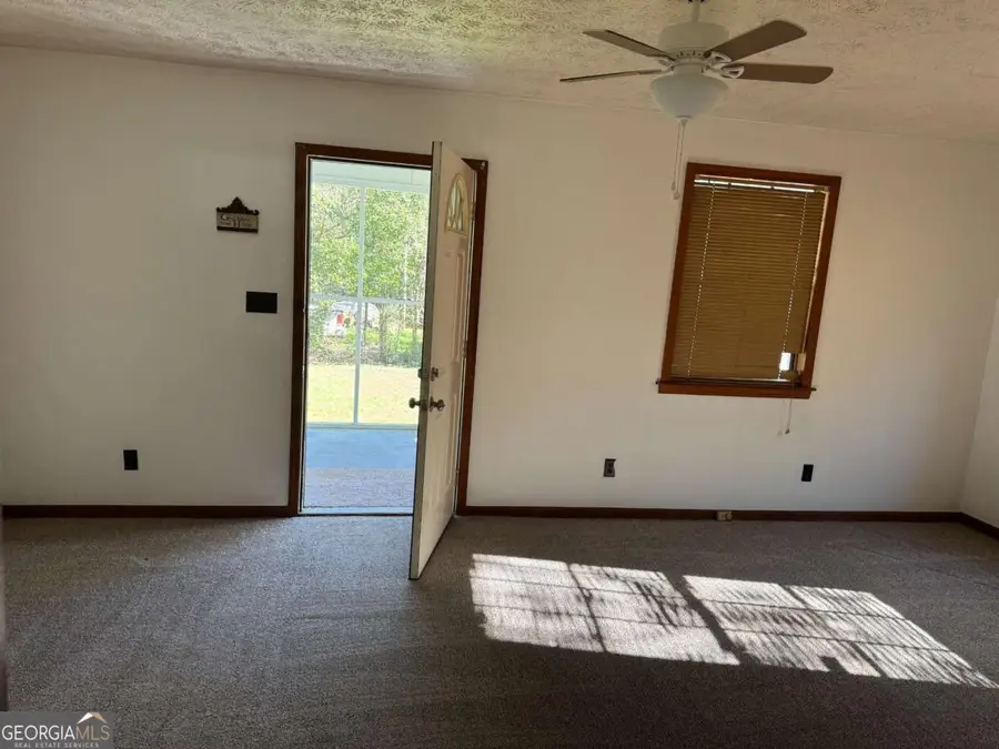 313 Carter Street, Greenville, GA 30222 - #3