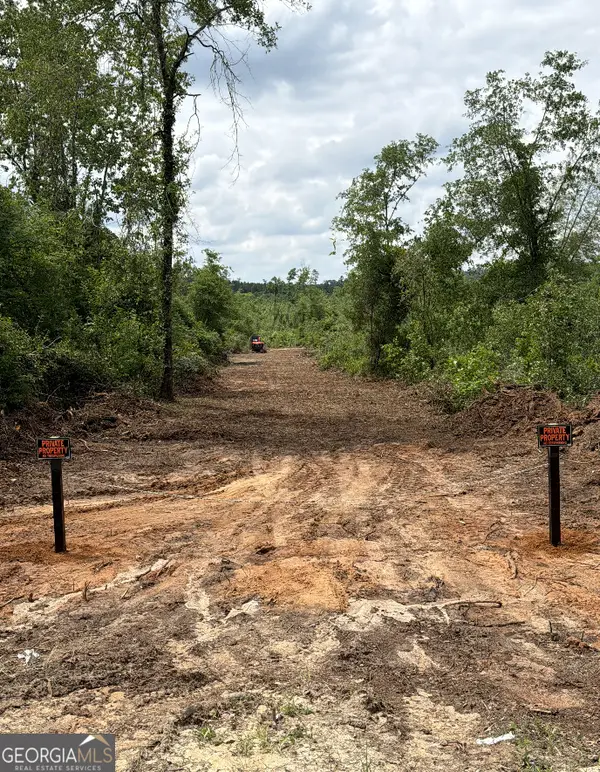 0 Hephzibah Mcbean Road, Hephzibah, GA 30815