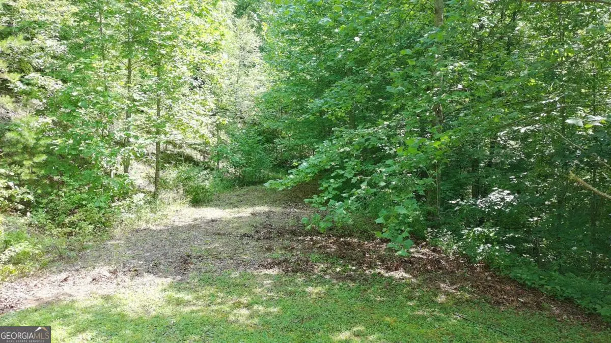 31 & 32 Wolfpen Gap Road, Hiawassee, GA 30546 - #1