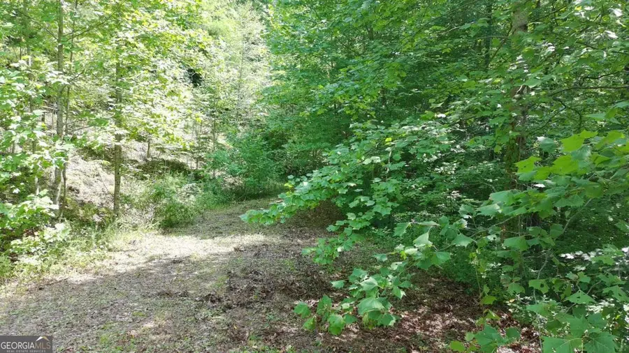 31 & 32 Wolfpen Gap Road, Hiawassee, GA 30546 - #2