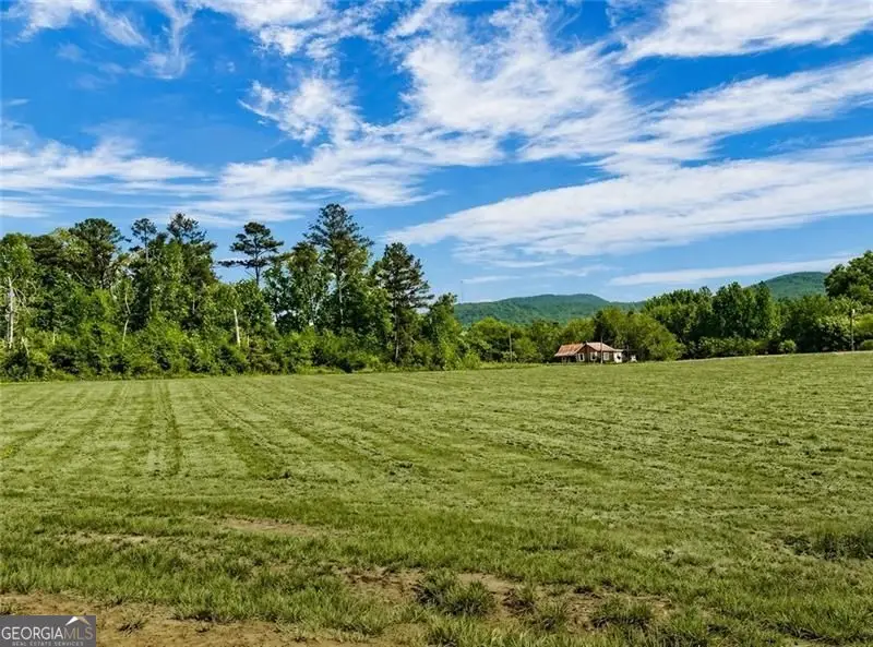 118 Palisade Drive, Rydal, GA 30171 - #1