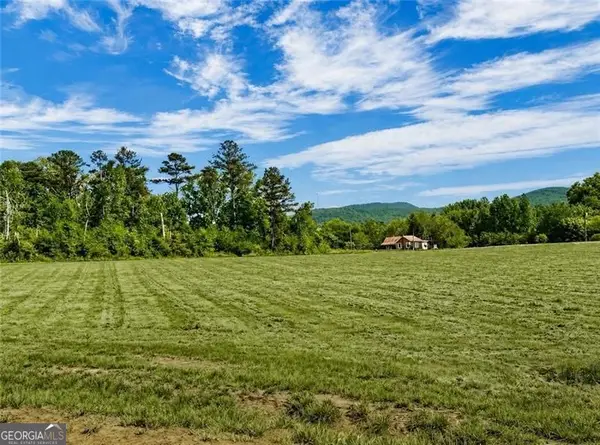 118 Palisade Drive, Rydal, GA 30171
